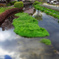 水の都の情景