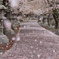 桜雪