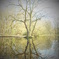 DSCF0543