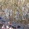 DSCF0545