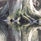 DSCF0546
