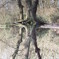 DSCF0547