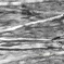 DSCF0558