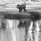 DSCF0560