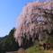 春爛漫の仁淀川