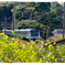 京浜東北線(春)