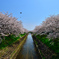 両手に華