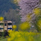 spring station