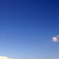 青空の月