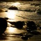 DSC00691