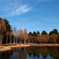冬の公園
