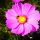 RIMG0596