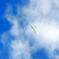 白雲　飛翔　SC_8396