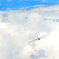雲の上を飛ぶ　DSC_8435