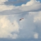白雲　複葉機の編隊DSC_8443