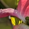 OHM_3558-PH