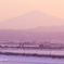 桜色に染まる鳥海山