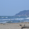 DSC_0016