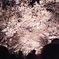 DSCF0107
