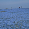 In the blue world 