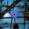花（水上） (T)