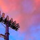『電×空』