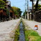 散歩道