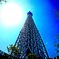 TOKYO SKY TREE FISH EYE