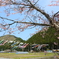 里山の春