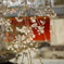 IMGP7419