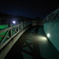 夜の公園