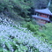 噴水と三重塔