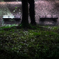 Quiet mood*2