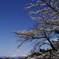 雪山を見て
