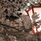 2011年