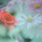 花は美し