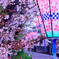 DSC02148