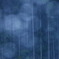 夏の雨