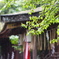 雨の日の平野神社