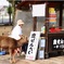 鹿せんべい