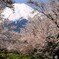 お宮橋の下で写真を撮る