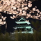 夜桜