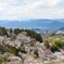 ふくしま花見山