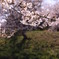 水面に映える