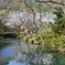 春の静寂２