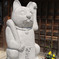 おかげ横丁の看板猫