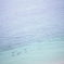 海