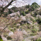 中千本の風景