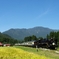 P9150562