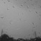 憂鬱雨